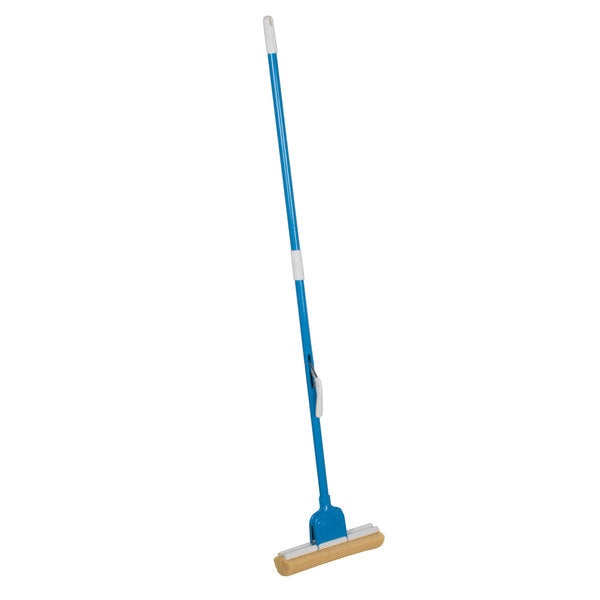 Sponge Mop with Handle