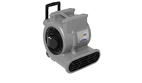 ProTeam ProBlitz® Airmover